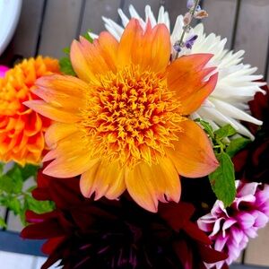 Meet your Posher, Lynn